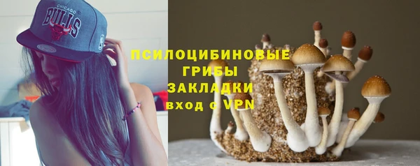 тгк Няндома