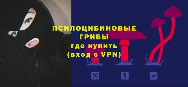 сатива Арсеньев