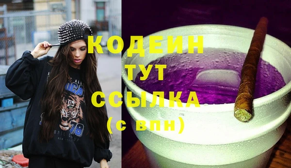 сатива Арсеньев