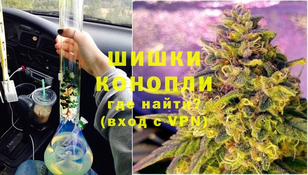 сатива Арсеньев