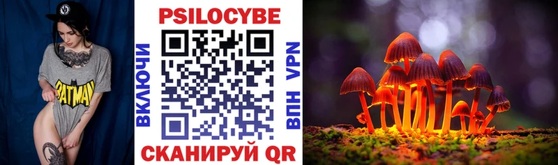 Псилоцибиновые грибы Magic Shrooms hydra маркетплейс Пошехонье