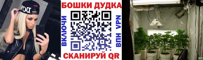 kraken маркетплейс  мориарти наркотические препараты  Каннабис White Widow  Пошехонье 